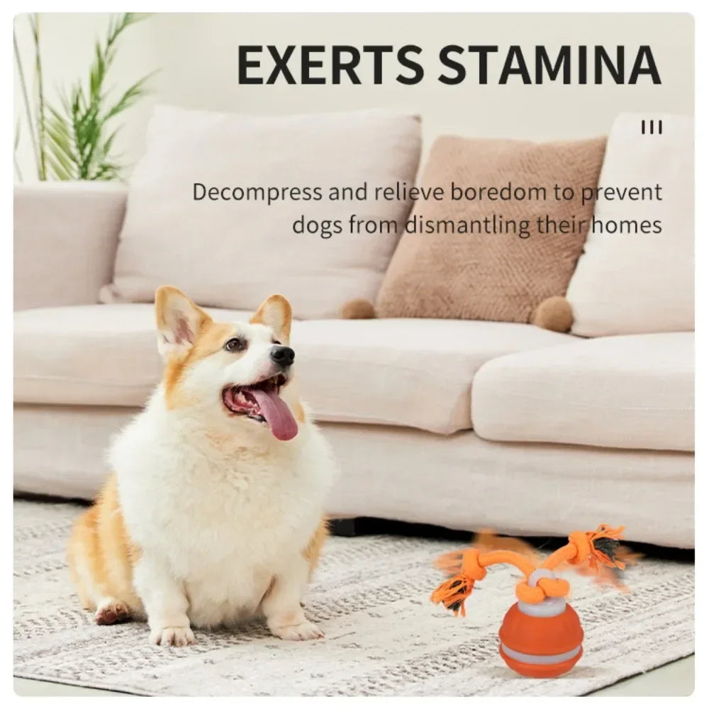 Interactive Pet Ball for Dogs – Automatic Rolling Toy
