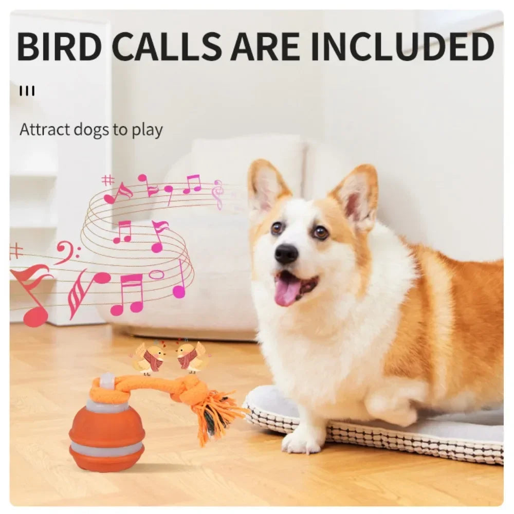 Interactive Pet Ball for Dogs – Automatic Rolling Toy