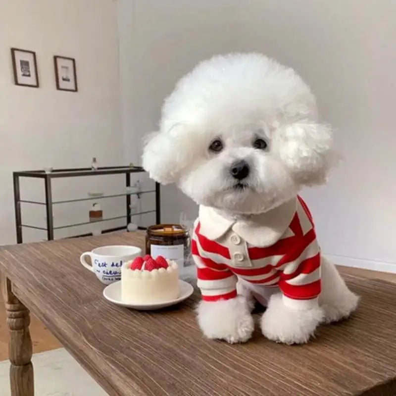 Striped Pet Shirt – Soft Clothes for Dogs & Cats