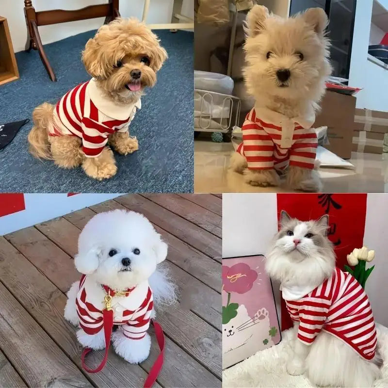 Striped Pet Shirt – Soft Clothes for Dogs & Cats