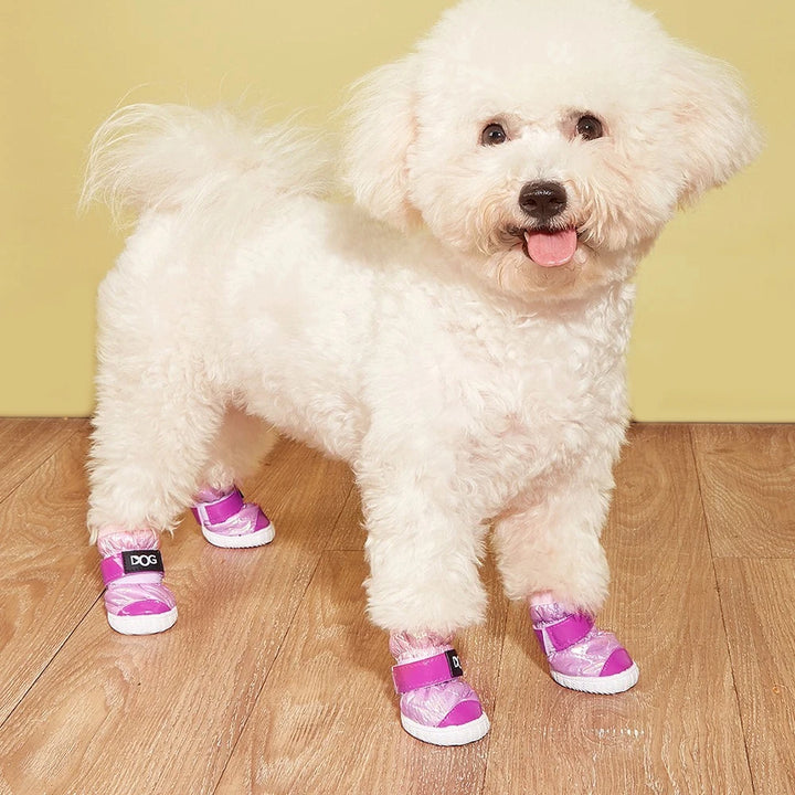 Dog Shoes – Water-Resistant Paw Protectors