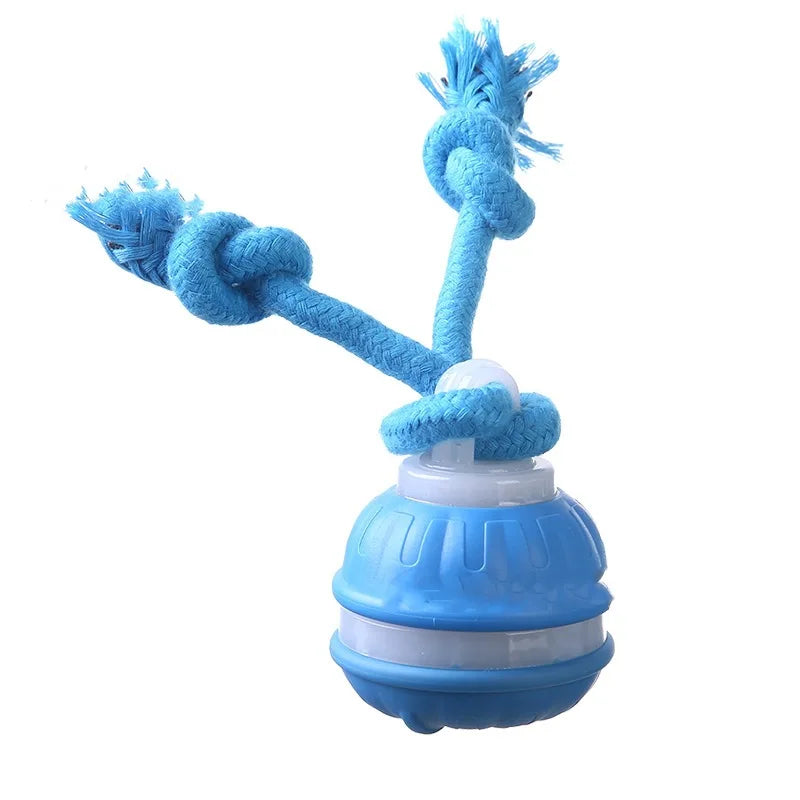 Interactive Pet Ball for Dogs – Automatic Rolling Toy
