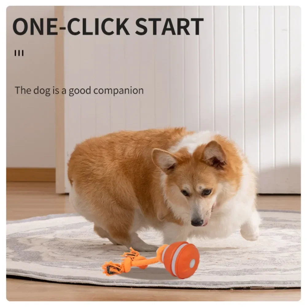 Interactive Pet Ball for Dogs – Automatic Rolling Toy