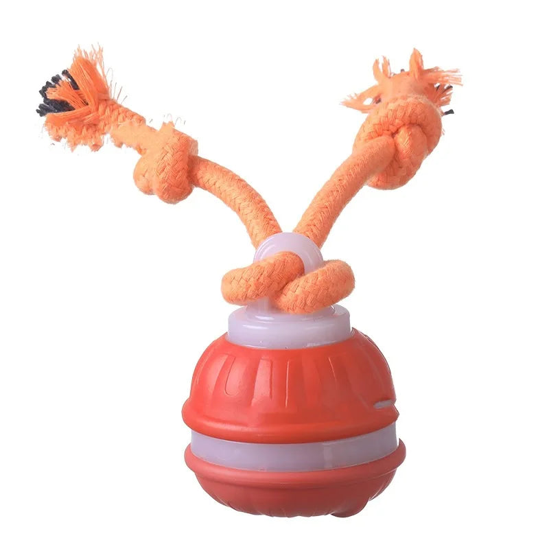 Interactive Pet Ball for Dogs – Automatic Rolling Toy