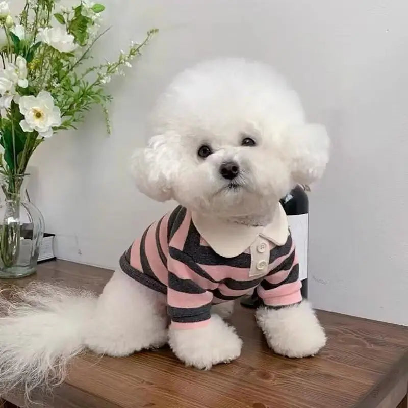 Striped Pet Shirt – Soft Clothes for Dogs & Cats
